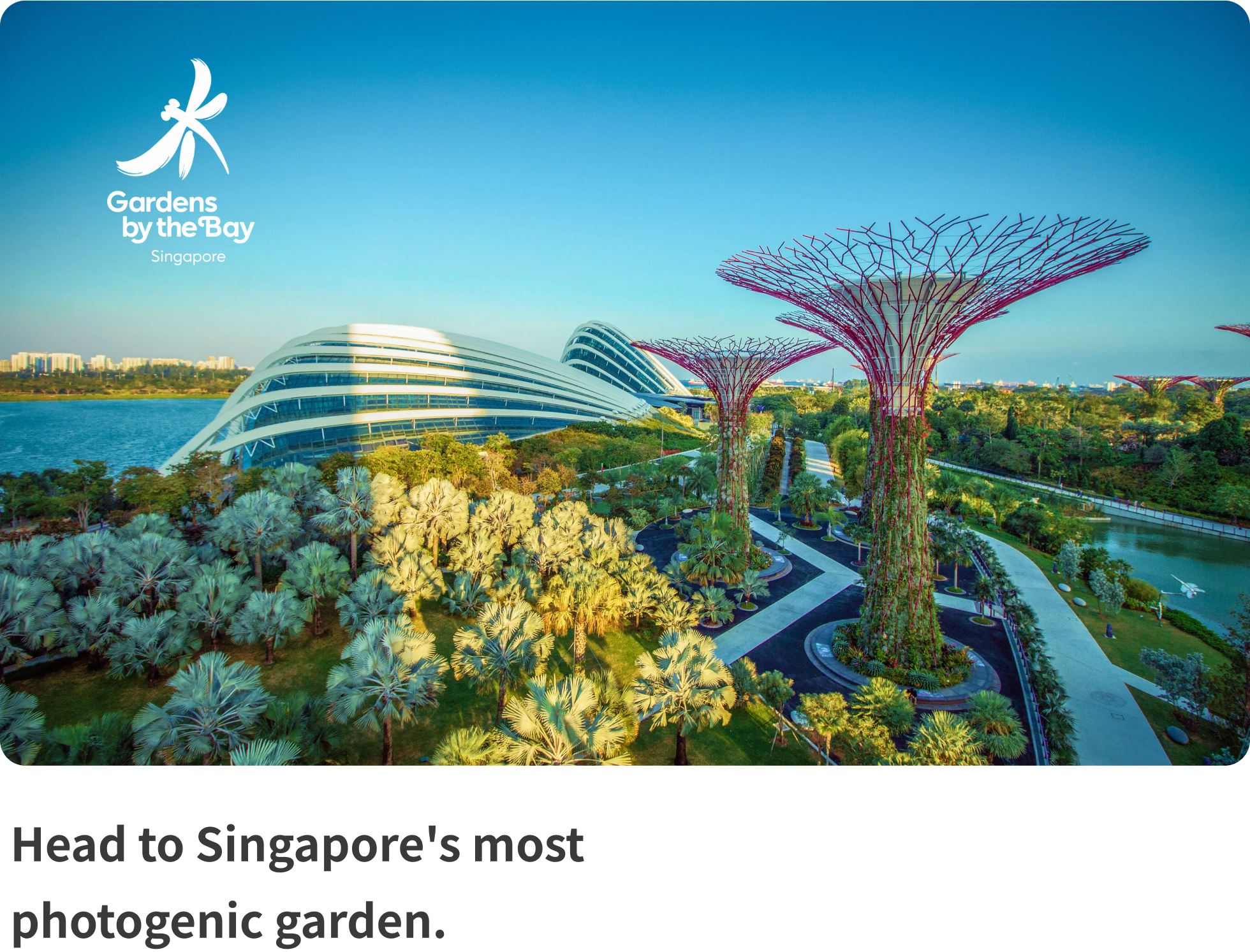 Head to Singapore's most photogenic garden.