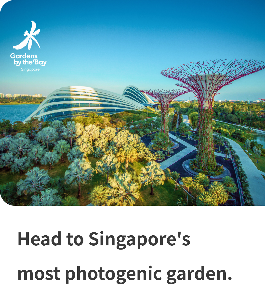 Head to Singapore's most photogenic garden.