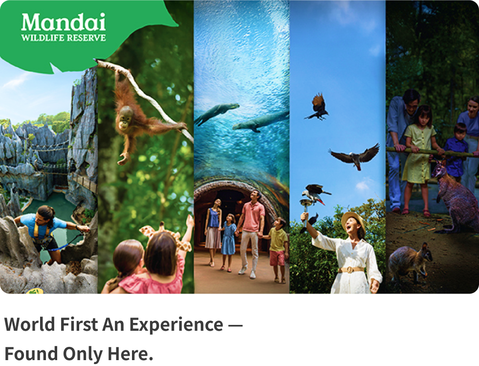 World First An Experience — Found Only Here.