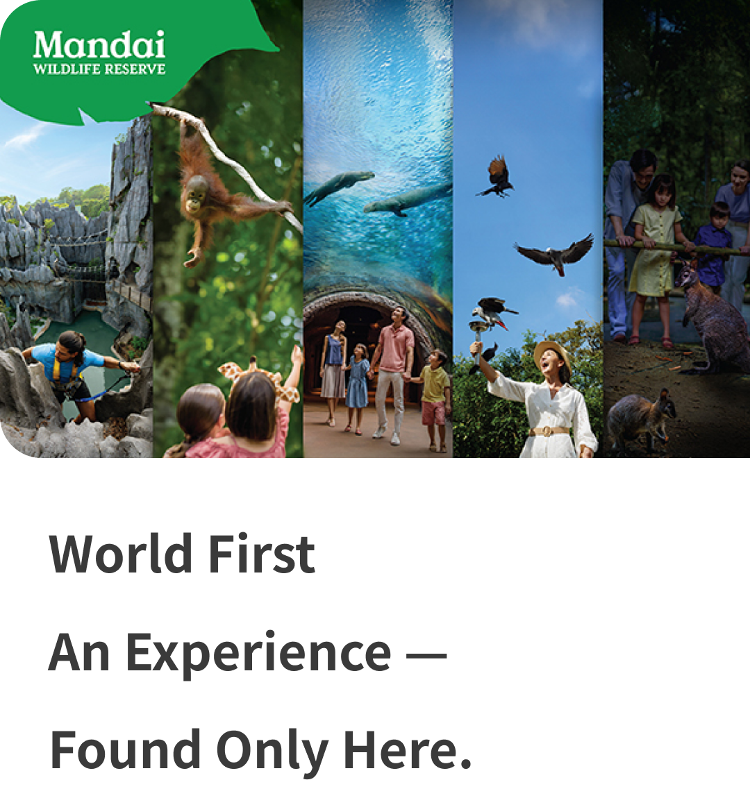 World First An Experience — Found Only Here.