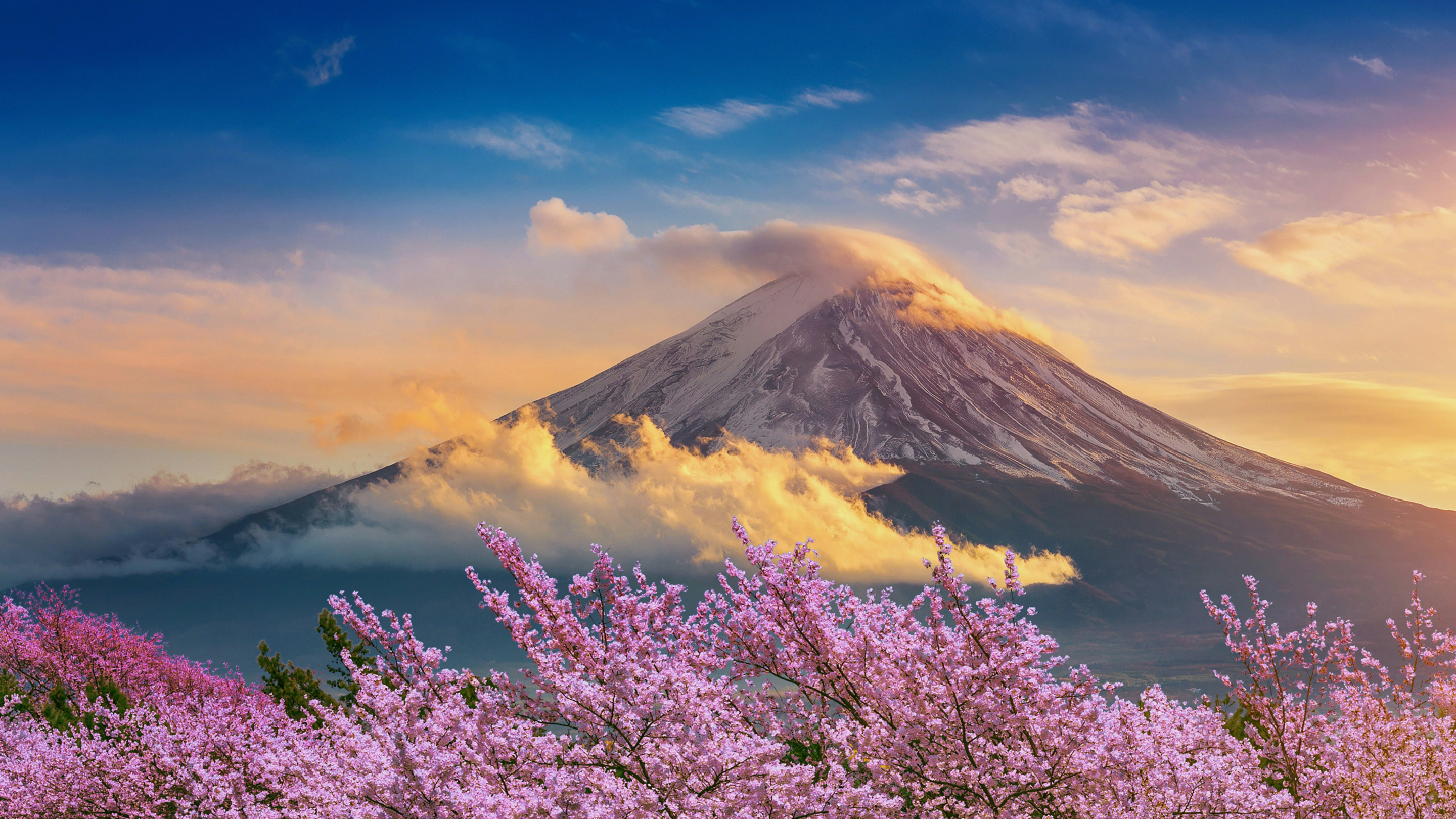 Premium Experience 1