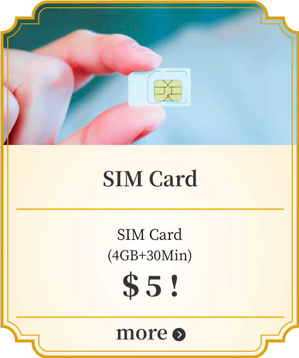 SIM Card SIM Card(4GB+30Min) $5! more
